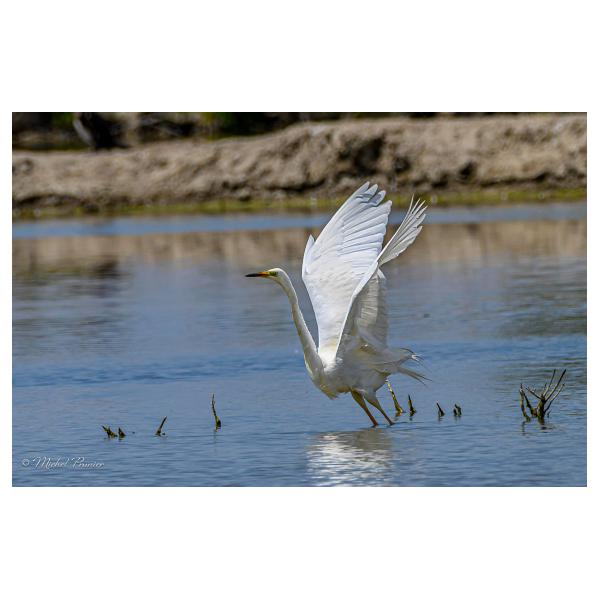 PHOTO84, CLUB, 84 , LUBERON